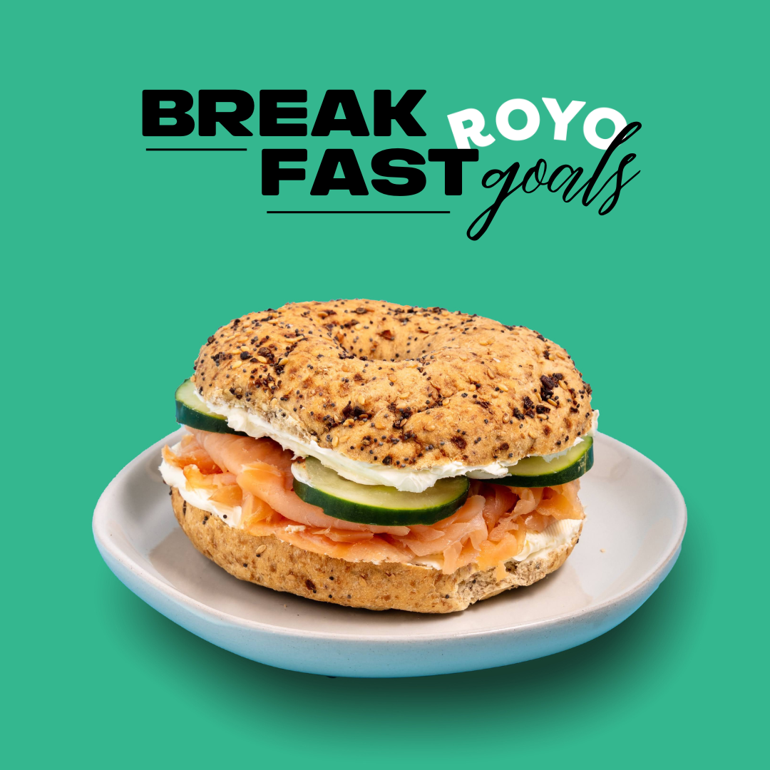 6-Pack Bundle - Familiar Choice for Casual Lunches